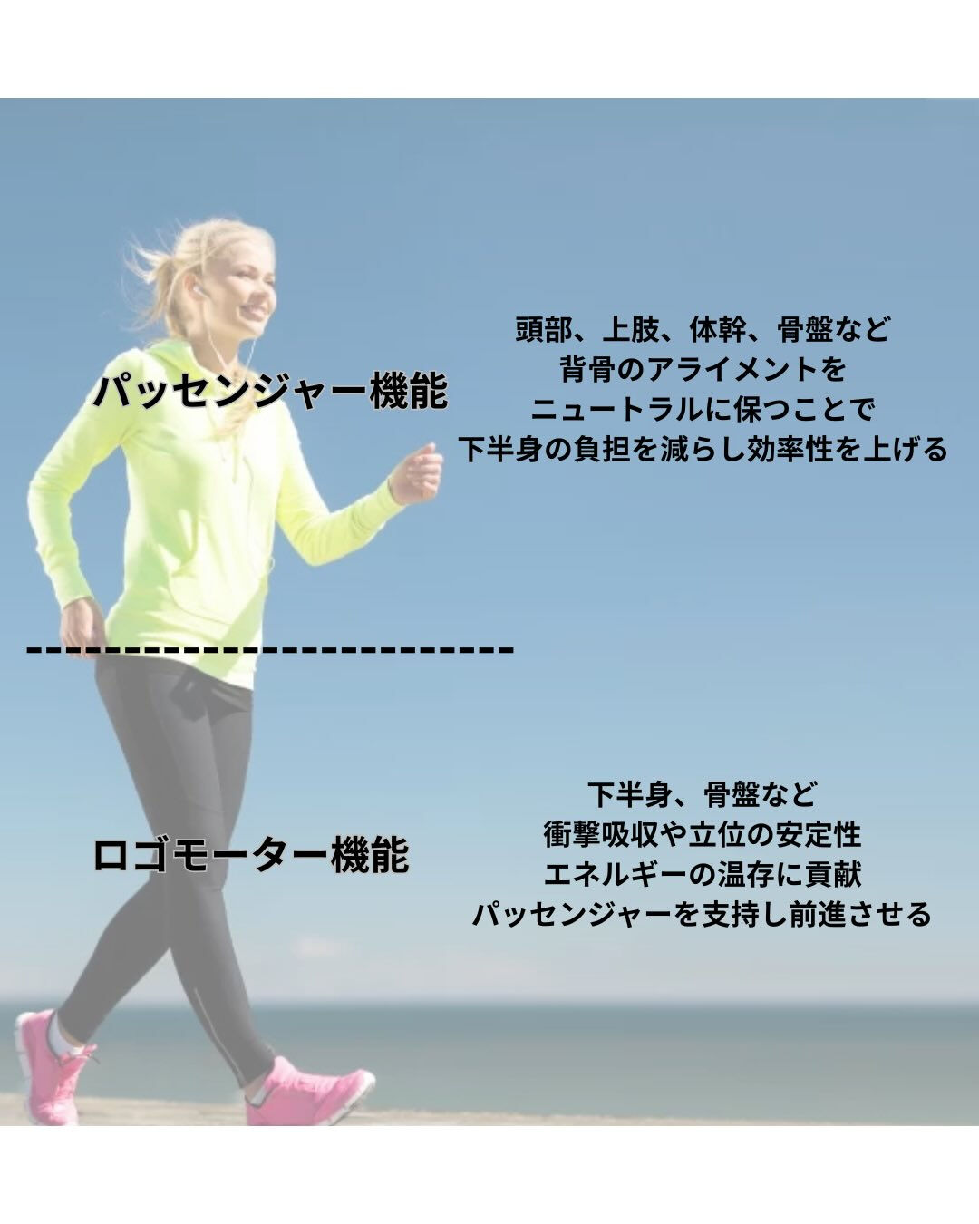 股関節痛と歩行について
