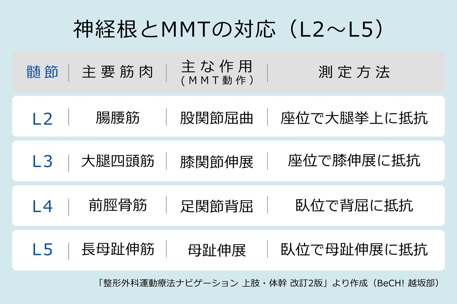 神経根とMMT　BeCH! 越坂部ルーム　症例 臀部痛